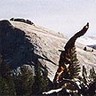 811002 Yosemite sm.jpg (4995 bytes)